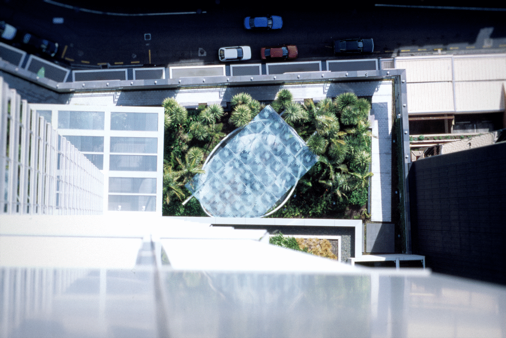 Viewed from above, Glass installation and fern leaf ceiling at RSA / Vero building
